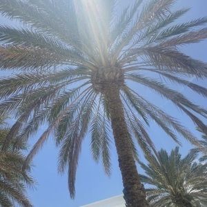 Meet your Posher, Sharon